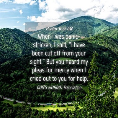 Picture 04 - Psalm 31:22 GW - When I was panic-stricken, I said, “I have been - Bible Verse Picture