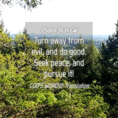 Picture 04 - Psalm 34:14 GW - Turn away from evil, and do good. Seek peace, and - Bible Verse Picture