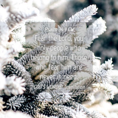 Picture 04 - Psalm 34:9 GW - Fear the Lord, you holy people who belong to him. - Bible Verse Picture