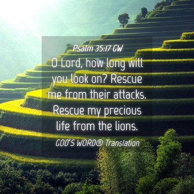 Picture 04 - Psalm 35:17 GW - O Lord, how long will you look on? Rescue me from - Bible Verse Picture