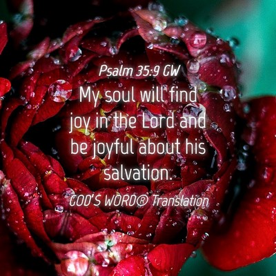 Picture 04 - Psalm 35:9 GW - My soul will find joy in the Lord and be joyful - Bible Verse Picture
