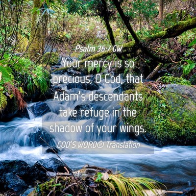 Picture 04 - Psalm 36:7 GW - Your mercy is so precious, O God, that Adam’s - Bible Verse Picture
