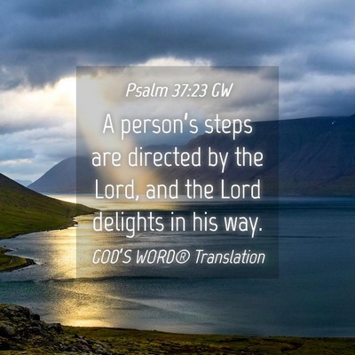 Picture 04 - Psalm 37:23 GW - A person’s steps are directed by the Lord, and - Bible Verse Picture