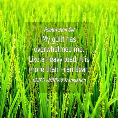 Picture 04 - Psalm 38:4 GW - My guilt has overwhelmed me. Like a heavy load, - Bible Verse Picture