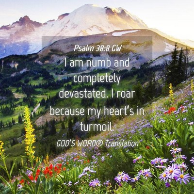 Picture 04 - Psalm 38:8 GW - I am numb and completely devastated. I roar - Bible Verse Picture