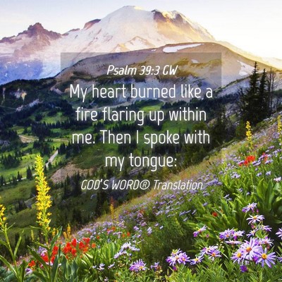 Picture 04 - Psalm 39:3 GW - My heart burned like a fire flaring up within me. - Bible Verse Picture