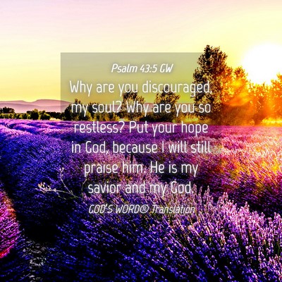 Picture 04 - Psalm 43:5 GW - Why are you discouraged, my soul? Why are you so - Bible Verse Picture