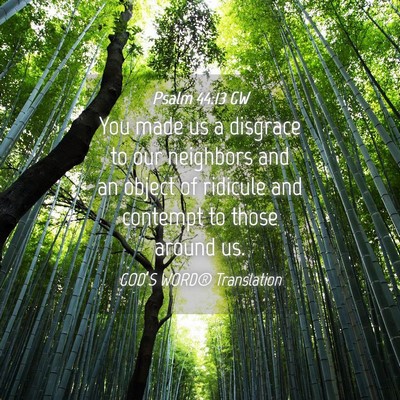 Picture 04 - Psalm 44:13 GW - You made us a disgrace to our neighbors and an - Bible Verse Picture
