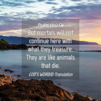 Picture 04 - Psalm 49:12 GW - But mortals will not continue here with what they - Bible Verse Picture