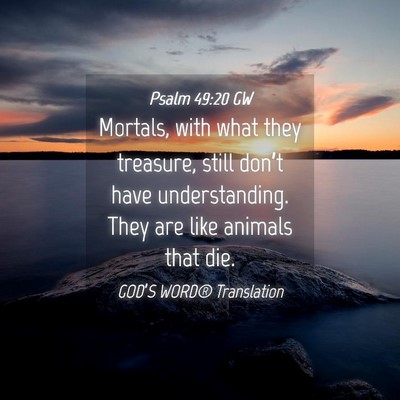 Picture 04 - Psalm 49:20 GW - Mortals, with what they treasure, still don’t - Bible Verse Picture