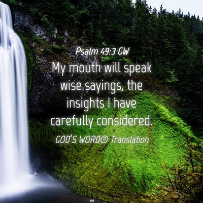 Picture 04 - Psalm 49:3 GW - My mouth will speak wise sayings, the insights I - Bible Verse Picture