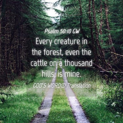 Picture 04 - Psalm 50:10 GW - Every creature in the forest, even the cattle on - Bible Verse Picture