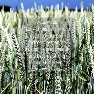 Picture 04 - Psalm 52:7 GW - “Look at this person who refused to make God - Bible Verse Picture