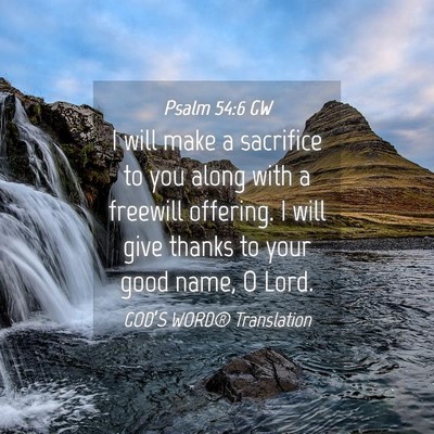 Picture 04 - Psalm 54:6 GW - I will make a sacrifice to you along with a - Bible Verse Picture