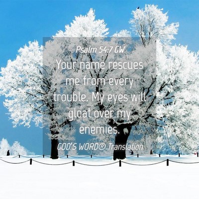 Picture 04 - Psalm 54:7 GW - Your name rescues me from every trouble. My eyes - Bible Verse Picture