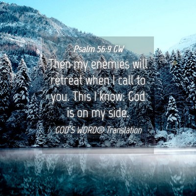 Picture 04 - Psalm 56:9 GW - Then my enemies will retreat when I call to you. - Bible Verse Picture
