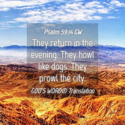 Picture 04 - Psalm 59:14 GW - They return in the evening. They howl like dogs. - Bible Verse Picture