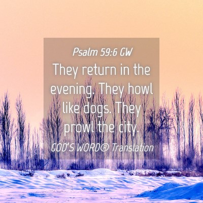 Picture 04 - Psalm 59:6 GW - They return in the evening. They howl like dogs. - Bible Verse Picture