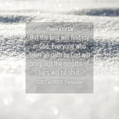 Picture 04 - Psalm 63:11 GW - But the king will find joy in God. Everyone who - Bible Verse Picture