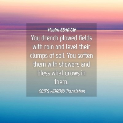 Picture 04 - Psalm 65:10 GW - You drench plowed fields with rain and level - Bible Verse Picture