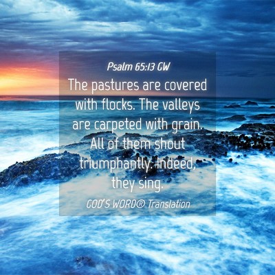 Picture 04 - Psalm 65:13 GW - The pastures are covered with flocks. The valleys - Bible Verse Picture