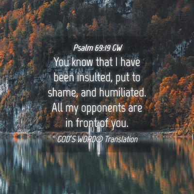 Picture 04 - Psalm 69:19 GW - You know that I have been insulted, put to shame, - Bible Verse Picture