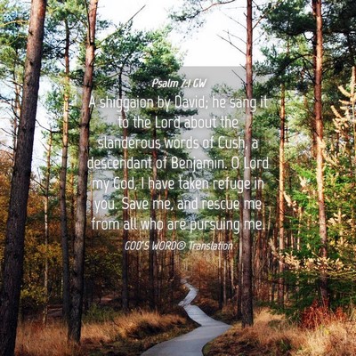Picture 04 - Psalm 7:1 GW - A shiggaion by David; he sang it to the Lord - Bible Verse Picture