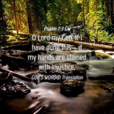 Picture 04 - Psalm 7:3 GW - O Lord my God, if I have done this— if my hands - Bible Verse Picture