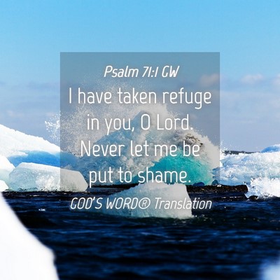Picture 04 - Psalm 71:1 GW - I have taken refuge in you, O Lord. Never let me - Bible Verse Picture