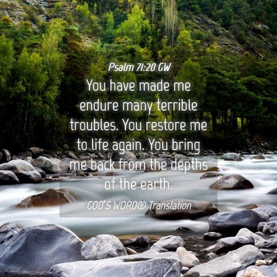 Picture 04 - Psalm 71:20 GW - You have made me endure many terrible troubles. - Bible Verse Picture