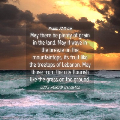 Picture 04 - Psalm 72:16 GW - May there be plenty of grain in the land. May it - Bible Verse Picture