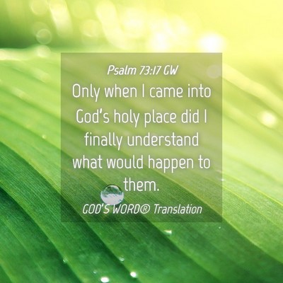 Picture 04 - Psalm 73:17 GW - Only when I came into God’s holy place did I - Bible Verse Picture