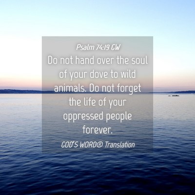 Picture 04 - Psalm 74:19 GW - Do not hand over the soul of your dove to wild - Bible Verse Picture