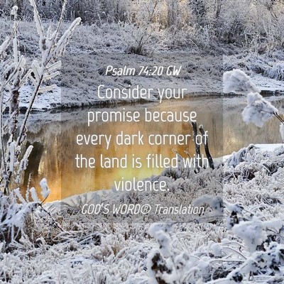 Picture 04 - Psalm 74:20 GW - Consider your promise because every dark corner - Bible Verse Picture