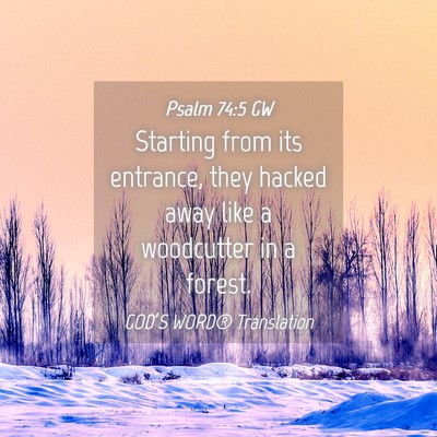 Picture 04 - Psalm 74:5 GW - Starting from its entrance, they hacked away like - Bible Verse Picture