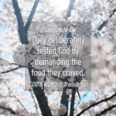 Picture 04 - Psalm 78:18 GW - They deliberately tested God by demanding the - Bible Verse Picture