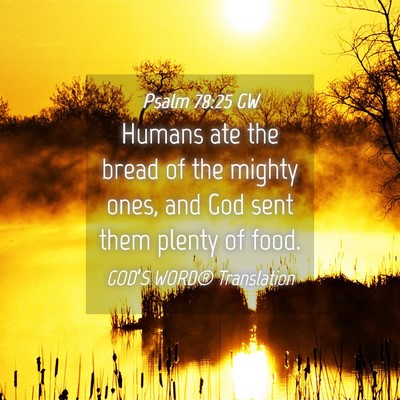 Picture 04 - Psalm 78:25 GW - Humans ate the bread of the mighty ones, and God - Bible Verse Picture
