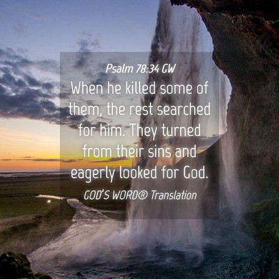 Picture 04 - Psalm 78:34 GW - When he killed some of them, the rest searched - Bible Verse Picture