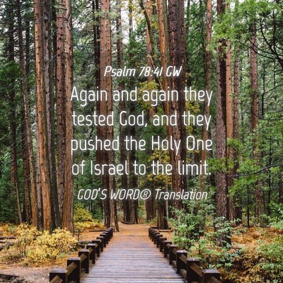 Picture 04 - Psalm 78:41 GW - Again and again they tested God, and they pushed - Bible Verse Picture