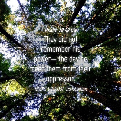Picture 04 - Psalm 78:42 GW - They did not remember his power— the day he - Bible Verse Picture