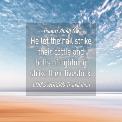 Picture 04 - Psalm 78:48 GW - He let the hail strike their cattle and bolts of - Bible Verse Picture