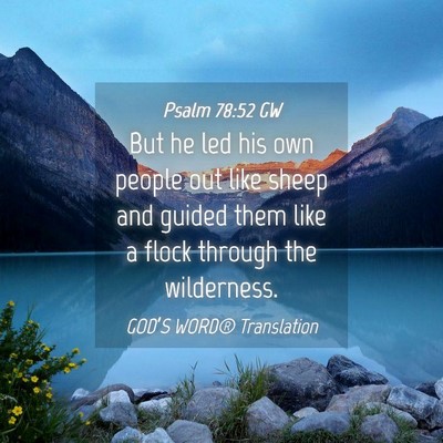 Picture 04 - Psalm 78:52 GW - But he led his own people out like sheep and - Bible Verse Picture