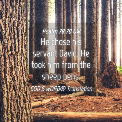 Picture 04 - Psalm 78:70 GW - He chose his servant David. He took him from the - Bible Verse Picture
