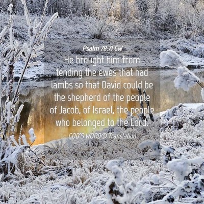 Picture 04 - Psalm 78:71 GW - He brought him from tending the ewes that had - Bible Verse Picture
