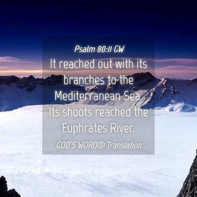 Picture 04 - Psalm 80:11 GW - It reached out with its branches to the - Bible Verse Picture