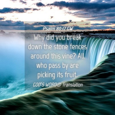 Picture 04 - Psalm 80:12 GW - Why did you break down the stone fences around - Bible Verse Picture