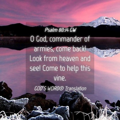Picture 04 - Psalm 80:14 GW - O God, commander of armies, come back! Look from - Bible Verse Picture