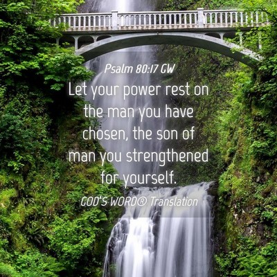 Picture 04 - Psalm 80:17 GW - Let your power rest on the man you have chosen, - Bible Verse Picture