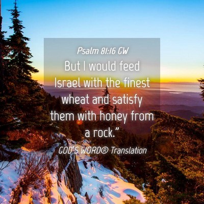 Picture 04 - Psalm 81:16 GW - But I would feed Israel with the finest wheat and - Bible Verse Picture