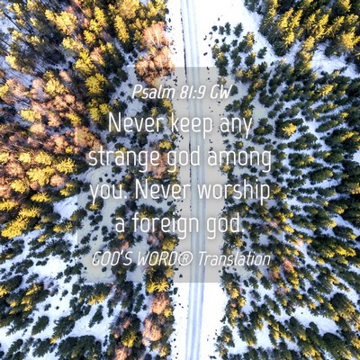 Picture 04 - Psalm 81:9 GW - Never keep any strange god among you. Never - Bible Verse Picture